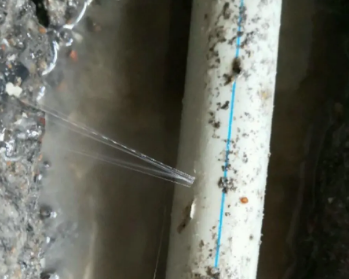 永善卫生间测漏水多少钱