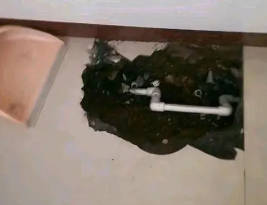 永善卫生间测漏水多少钱